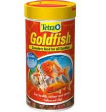 tetra goldfish