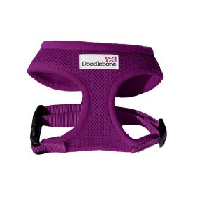 doodlebone harness purple