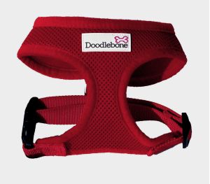 doodlebone harness red