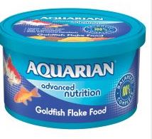 aquarian goldfish